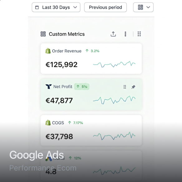 Dashboard Google Ads — métriques de performance e-commerce